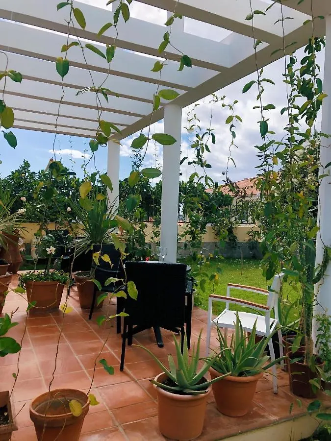 מלון קוסטה דל סילנסיו Villa 8 Islas